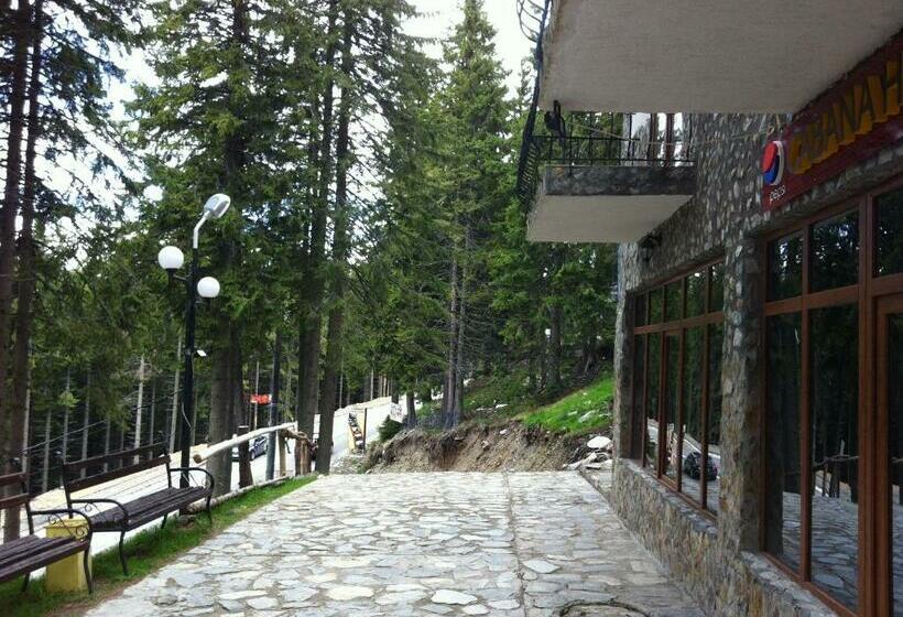 Пансион Cabana Haiducilor