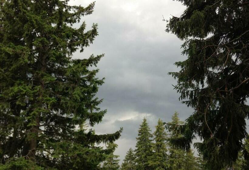 Пансион Cabana Haiducilor