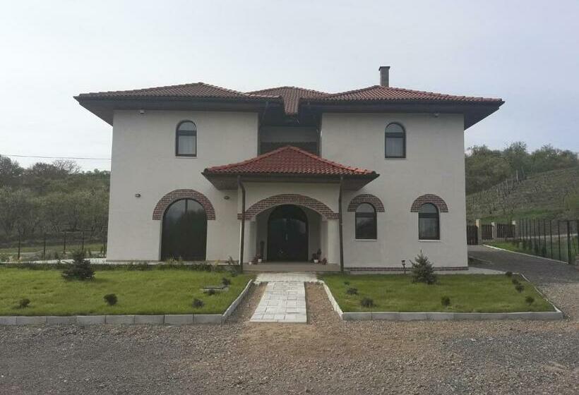 Pensiunea Casa Ungur