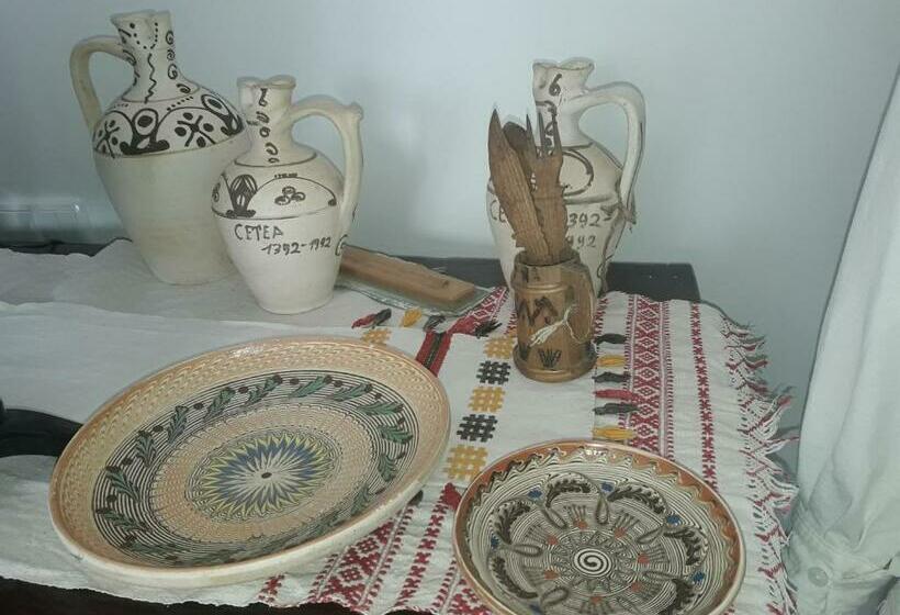 Pensiunea Casa Ungur