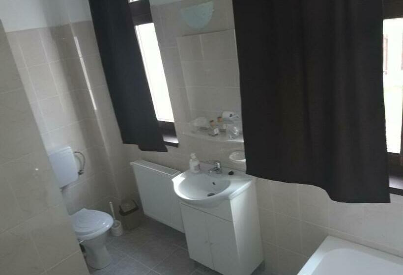 Pensiunea Casa Ungur