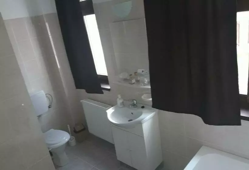 Pensiunea Casa Ungur