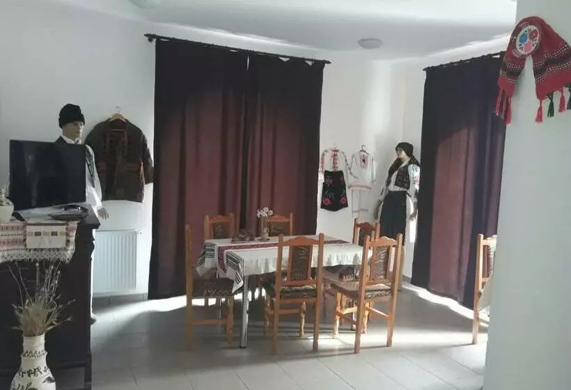 Pensiunea Casa Ungur