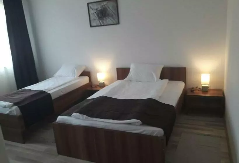 Pensiunea Casa Ungur