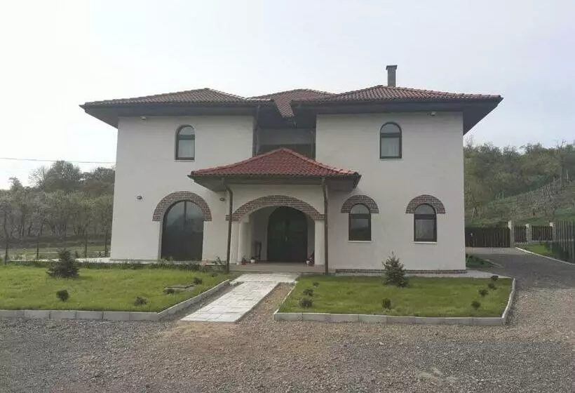 Pensiunea Casa Ungur