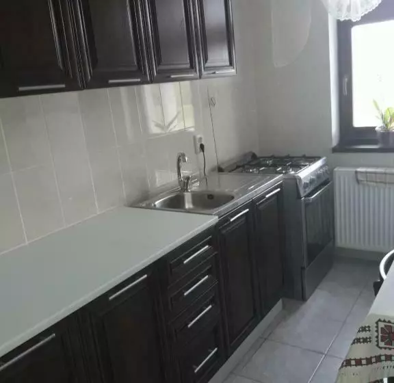 Pensiunea Casa Ungur