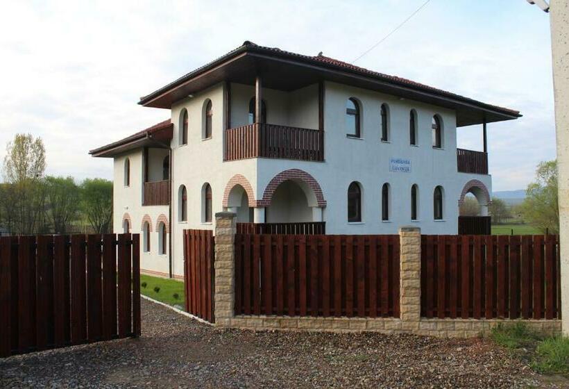 Pensiunea Casa Ungur