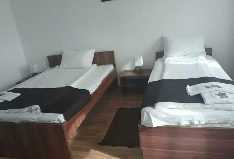 Pensiunea Casa Ungur