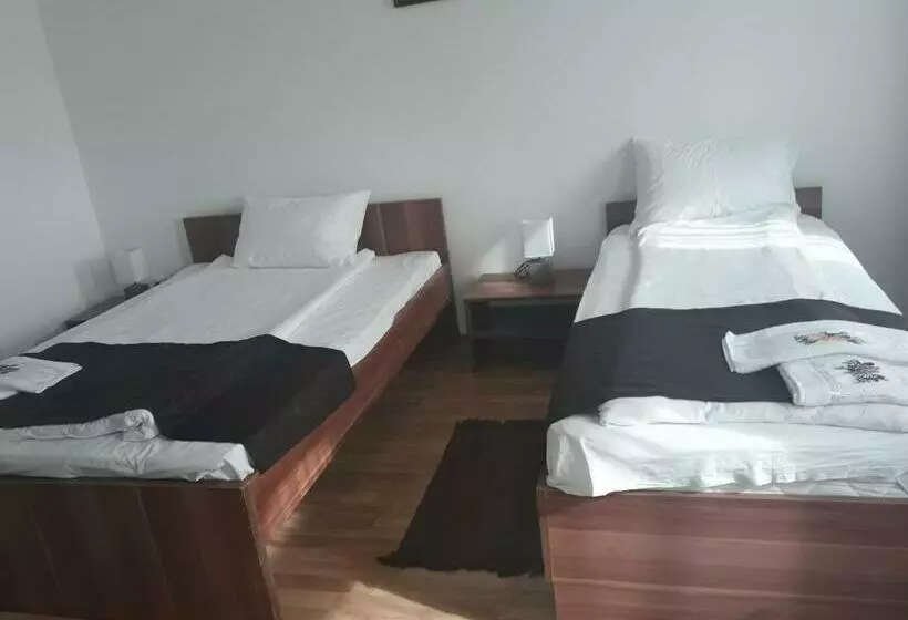 Pensiunea Casa Ungur