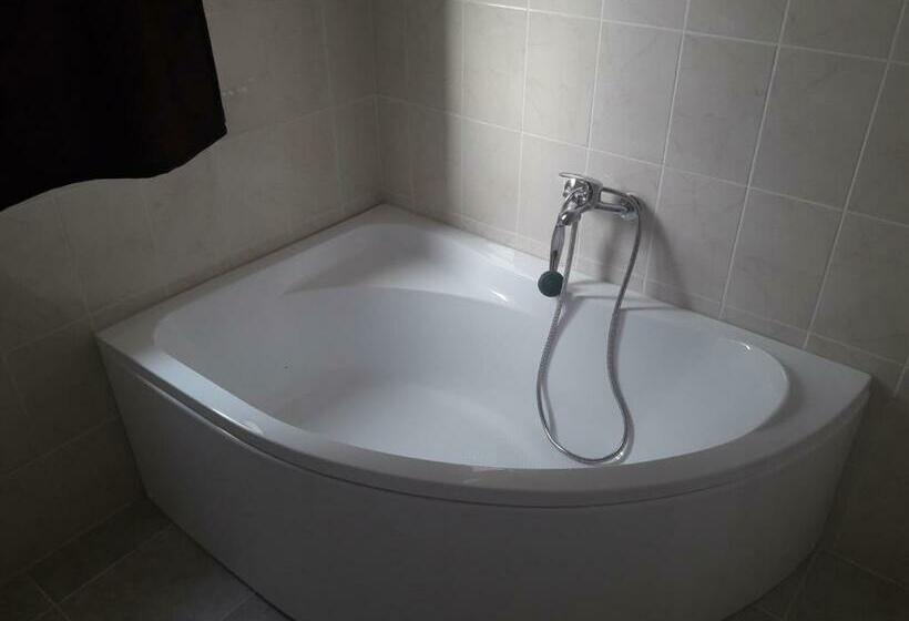 Pensiunea Casa Ungur