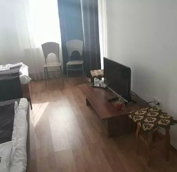 Pensiunea Casa Ungur