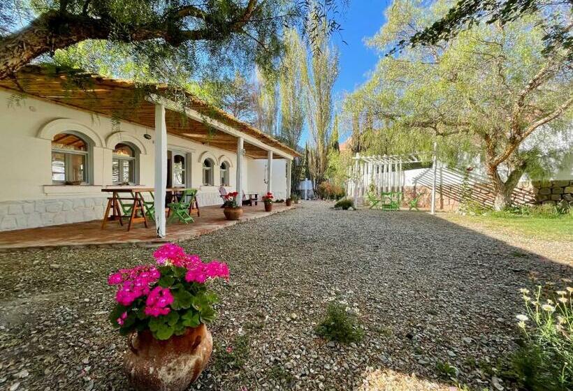 Общежитие Pumahuasi Hotel Boutique