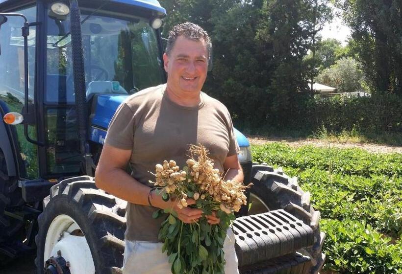 호텔 Agriturismo La Nocciolina