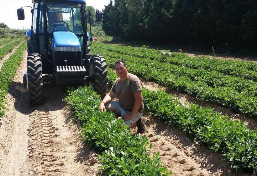 호텔 Agriturismo La Nocciolina
