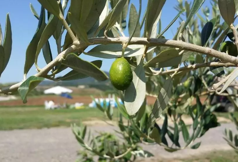 ホテル Agriturismo La Nocciolina