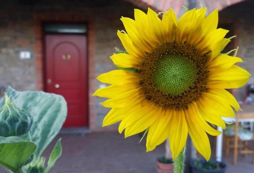 호텔 Agriturismo La Nocciolina