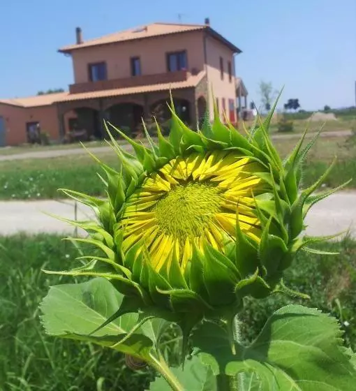 ホテル Agriturismo La Nocciolina