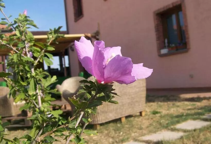 ホテル Agriturismo La Nocciolina