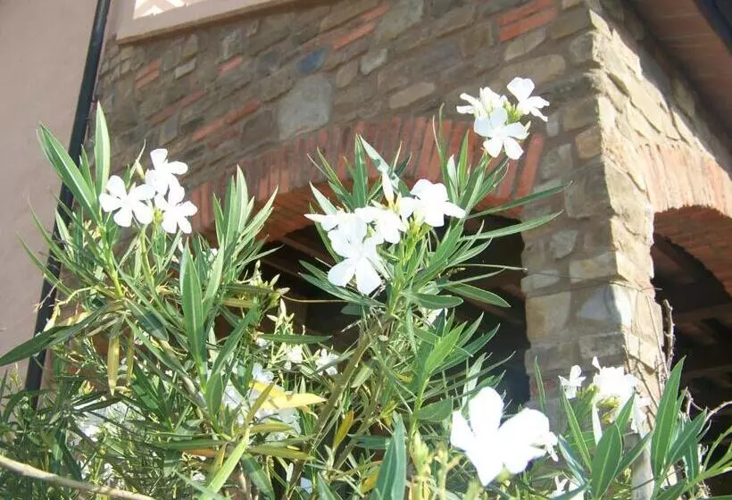 ホテル Agriturismo La Nocciolina