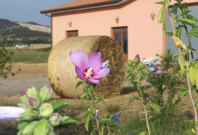 ホテル Agriturismo La Nocciolina