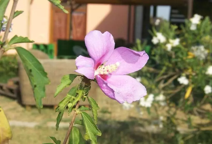 ホテル Agriturismo La Nocciolina