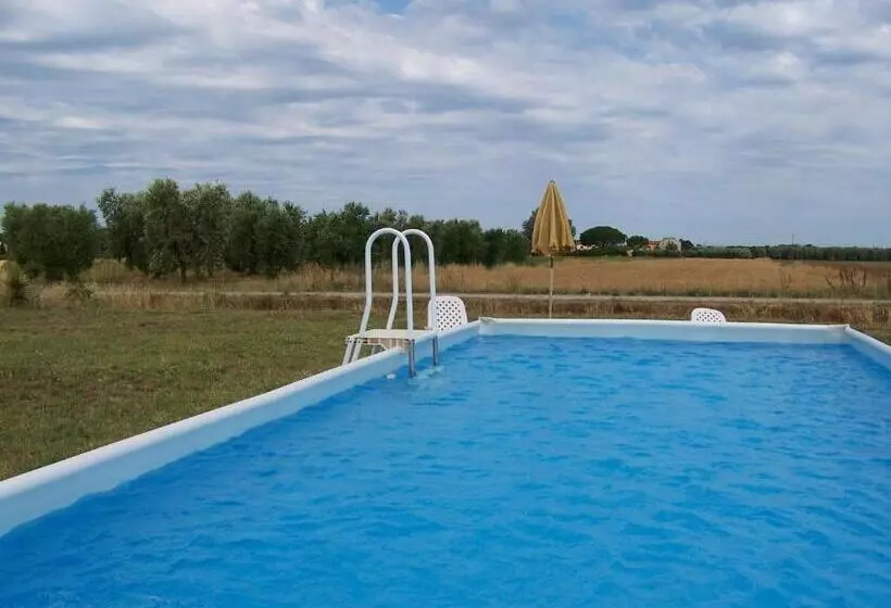 ホテル Agriturismo La Nocciolina