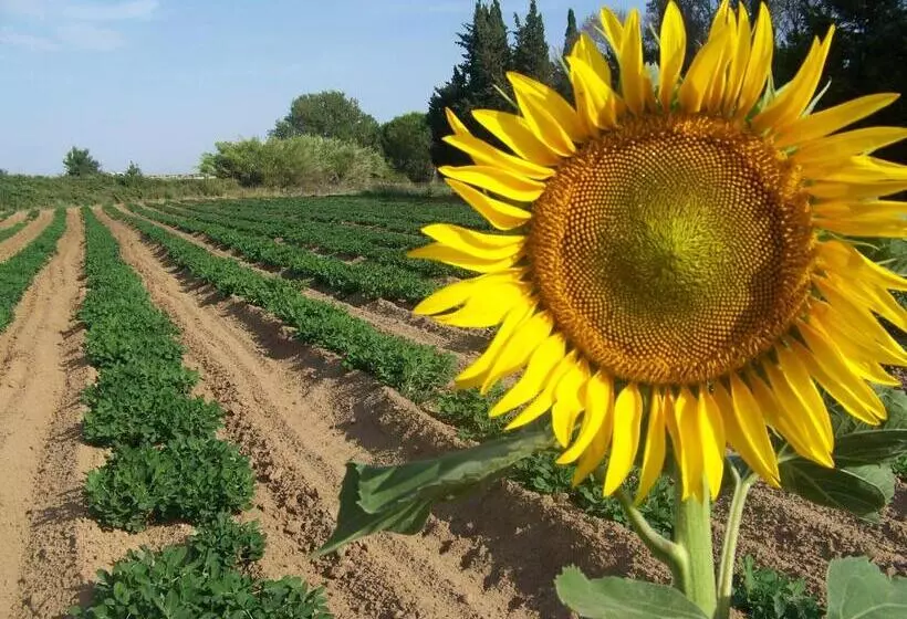 ホテル Agriturismo La Nocciolina