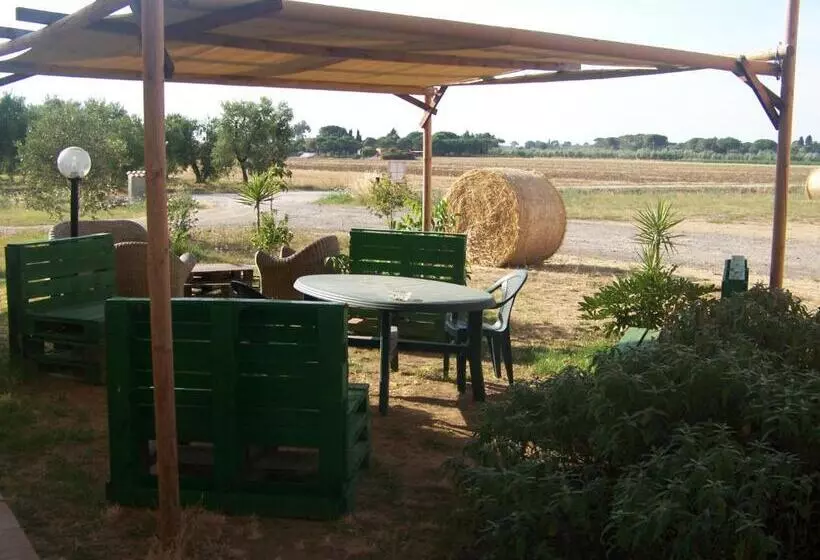 ホテル Agriturismo La Nocciolina