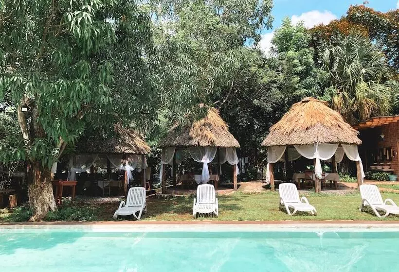 ホテル Cenote San Ignacio