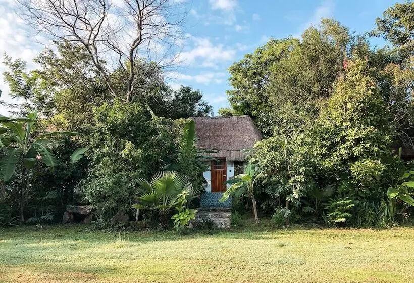 ホテル Cenote San Ignacio