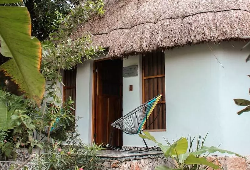 ホテル Cenote San Ignacio