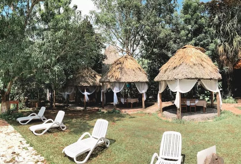 ホテル Cenote San Ignacio