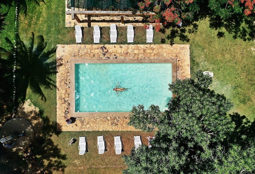 Szálloda Cenote San Ignacio