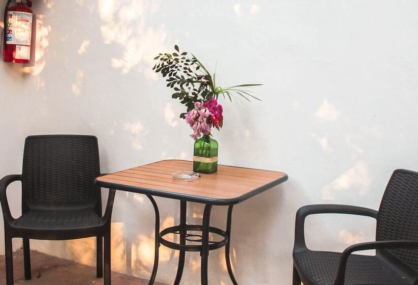 Szálloda Cenote San Ignacio