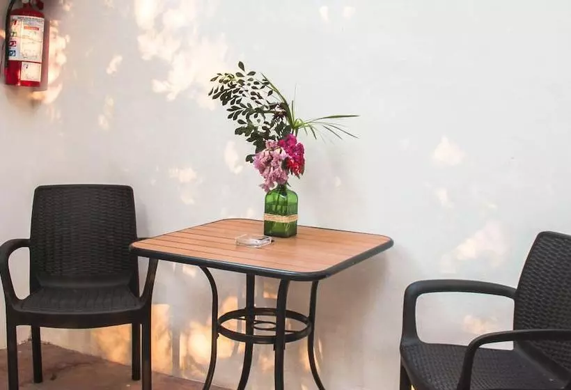 ホテル Cenote San Ignacio