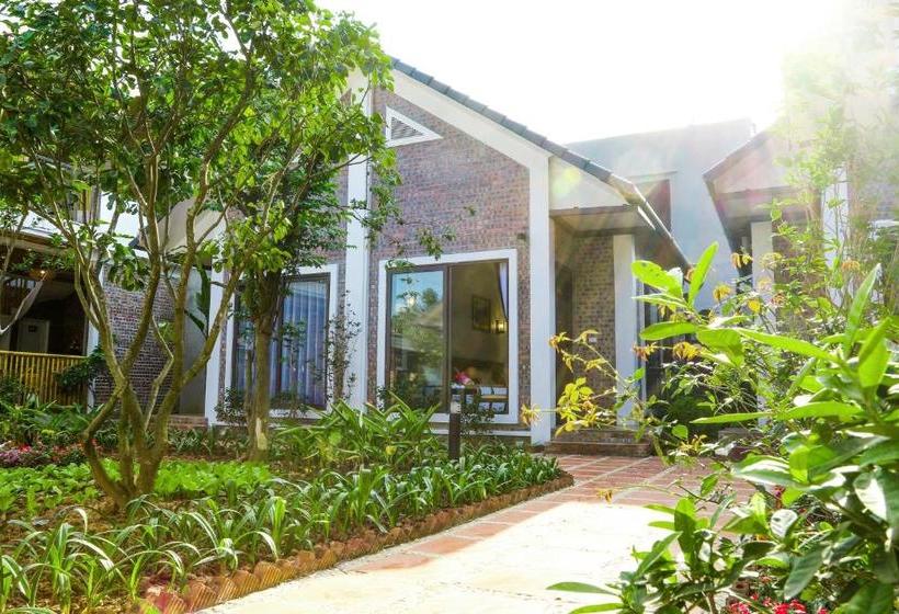 ホテル Tam Coc Golden Rice