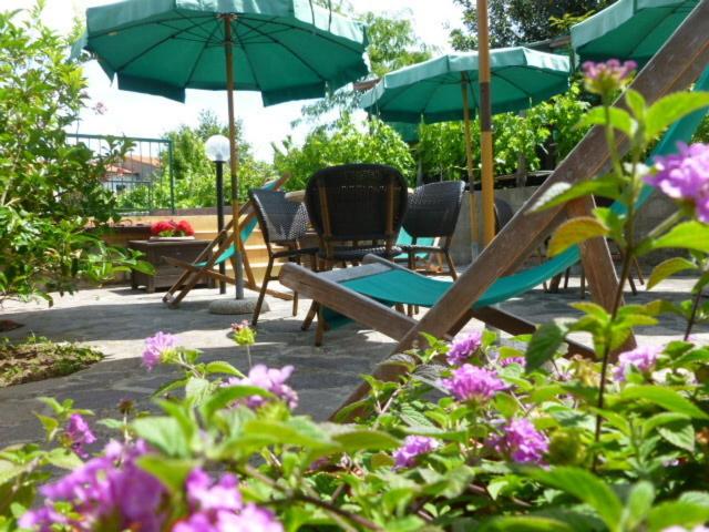 بنسيون Bed & Breakfast Anselmi M&m