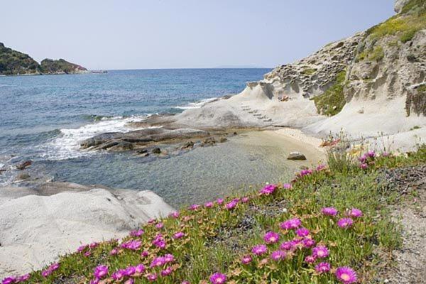 بنسيون Bed & Breakfast Anselmi M&m