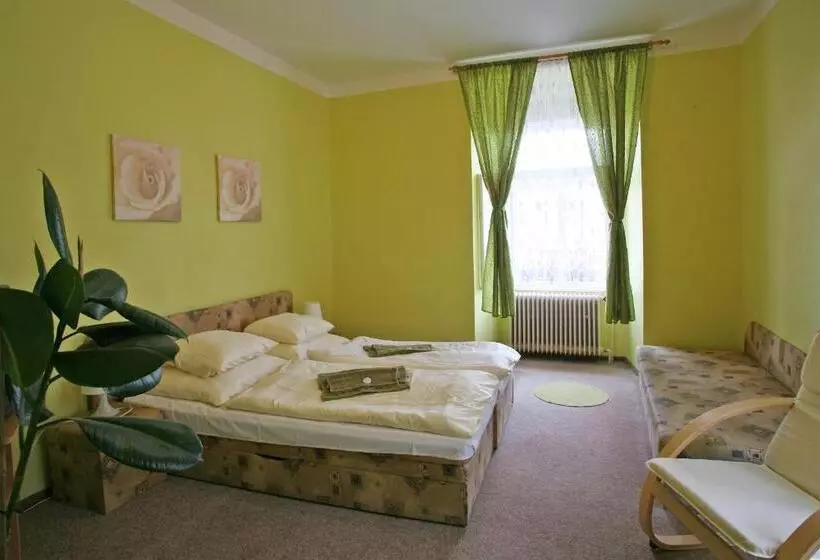 ホテル Zlaty Jelen