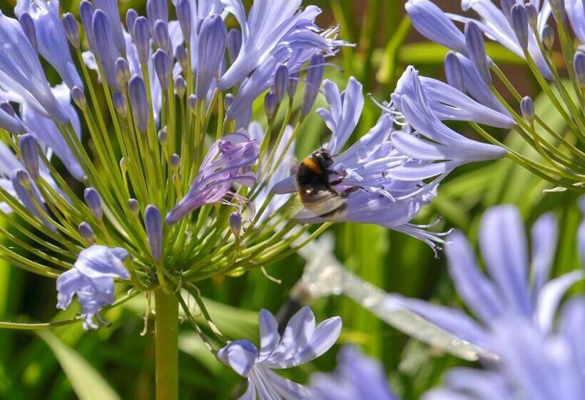 ペンション Le Clos Du Piheux