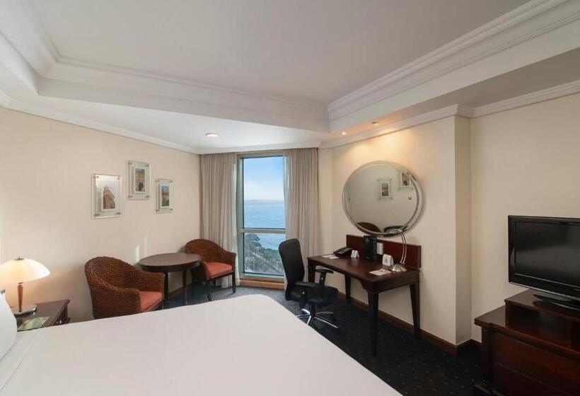 هتل Catalonia Santo Domingo