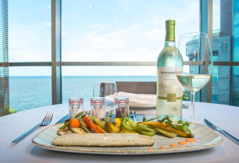 هتل Catalonia Santo Domingo