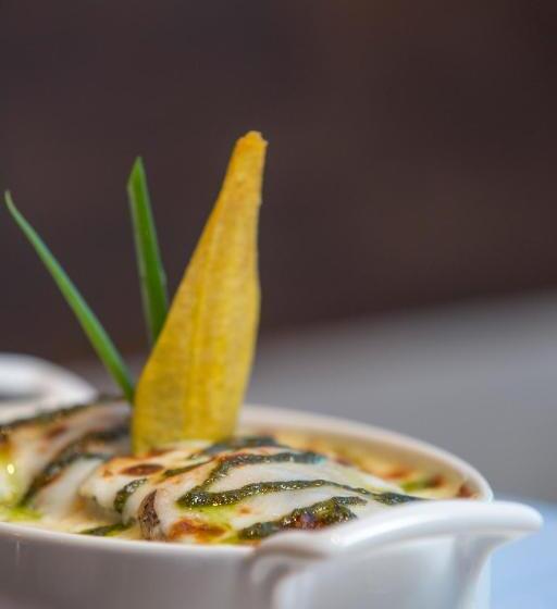 هتل Catalonia Santo Domingo