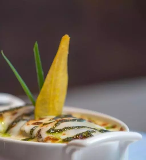 هتل Catalonia Santo Domingo