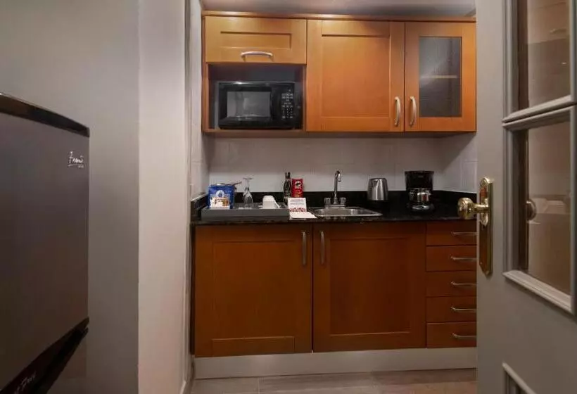 هتل Catalonia Santo Domingo