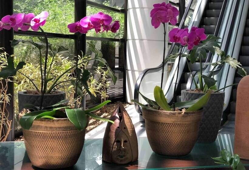 ホテル Mercure Sao Paulo Grand Plaza Paulista