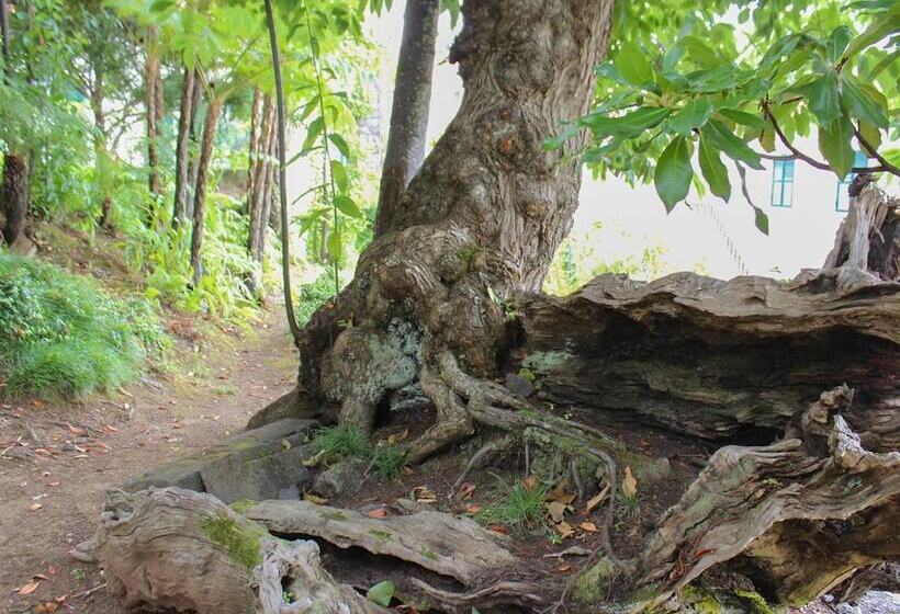 هتل Solar De Boaventura