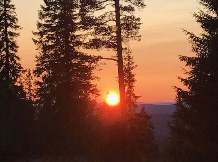 هتل Gesundaberget Skilodge