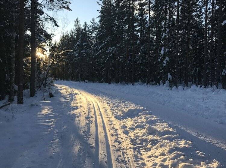 هتل Gesundaberget Skilodge