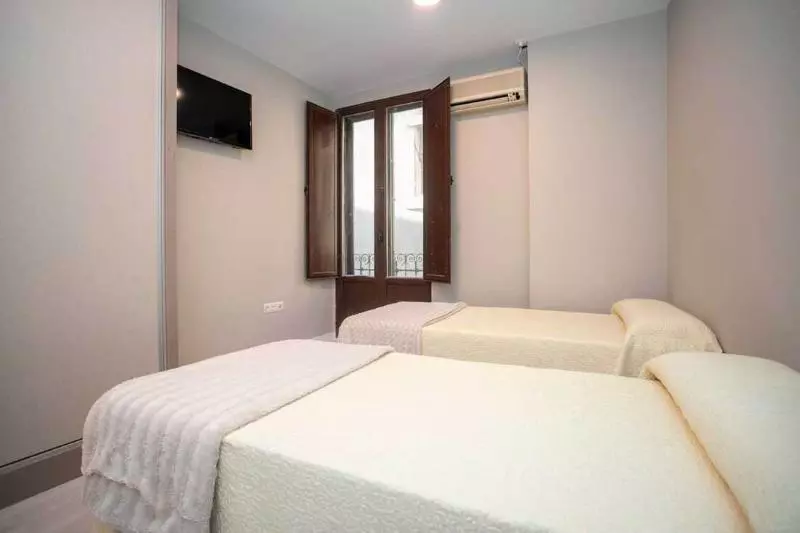 هتل Hostal Viena Plaza Nueva